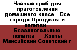 Чайный гриб для приготовления домашнего кваса - Все города Продукты и напитки » Безалкогольные напитки   . Ханты-Мансийский,Советский г.
